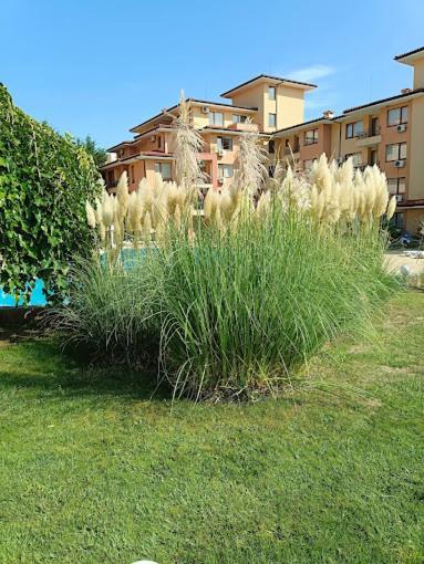Magic Dreams Apartments Szveti Vlasz Kültér fotó